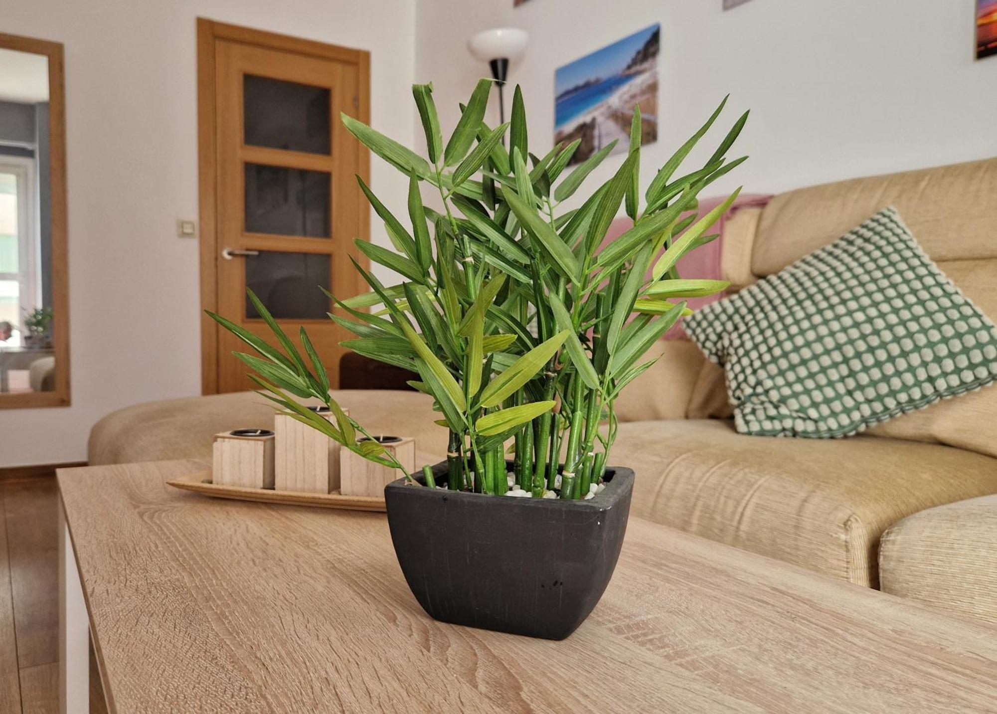 Apartamento Playa Bouzas - Vigo - Parking Free المظهر الخارجي الصورة